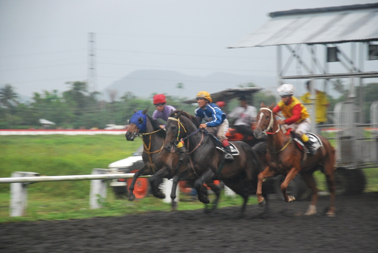 Pacuan Kuda Maesa Tompaso